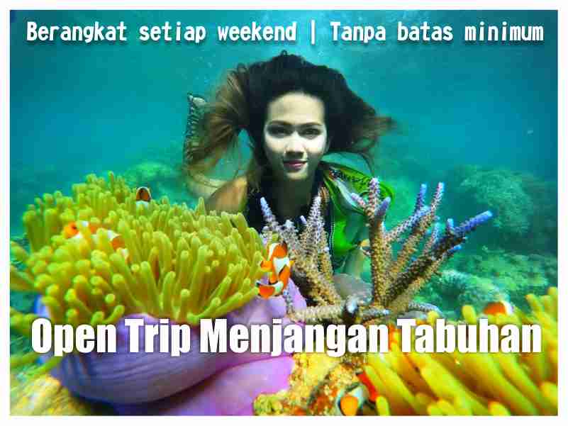 OPEN TRIP MENJANGAN TABUHAN