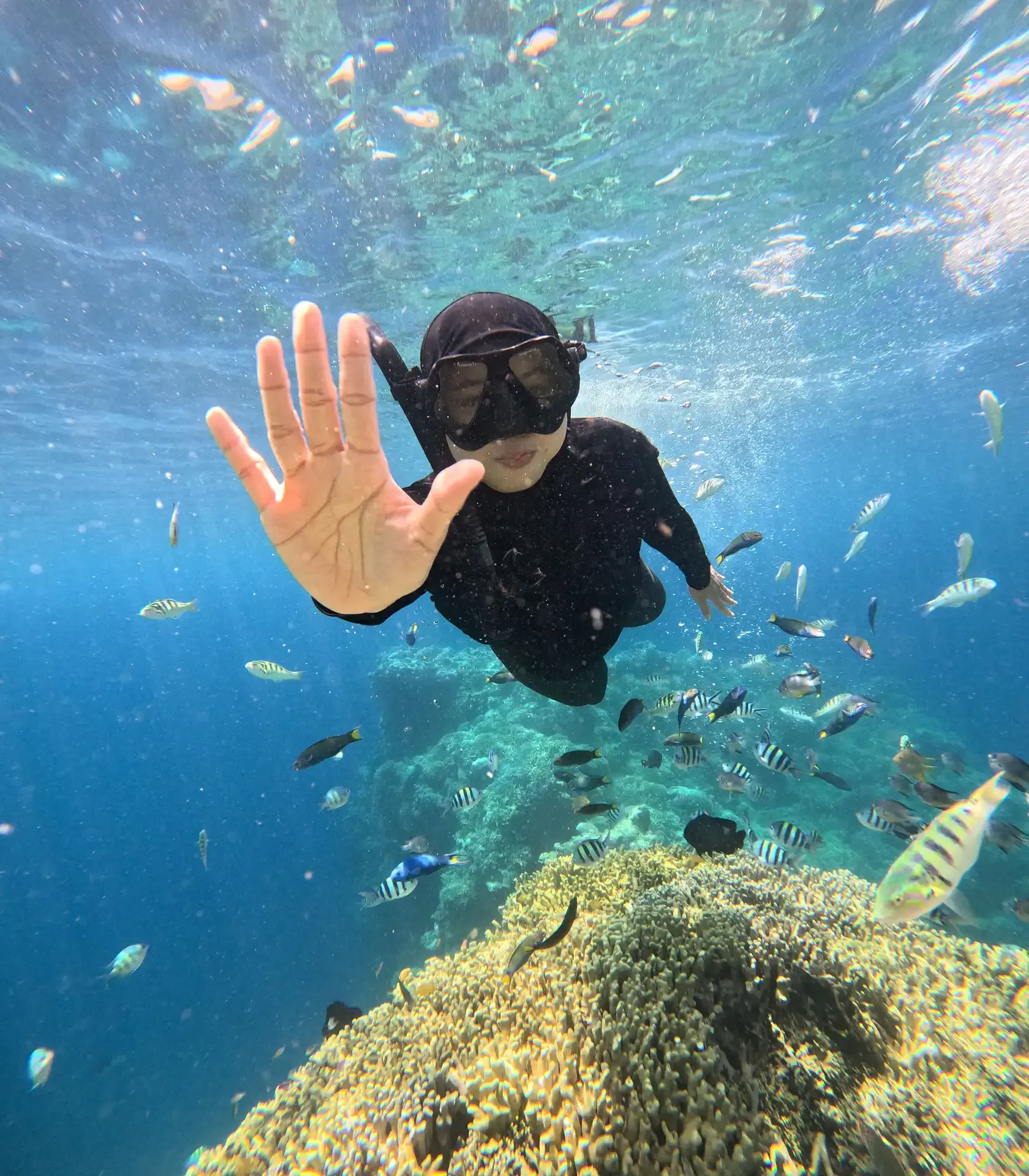 Eksotis Pulau Menjangan
