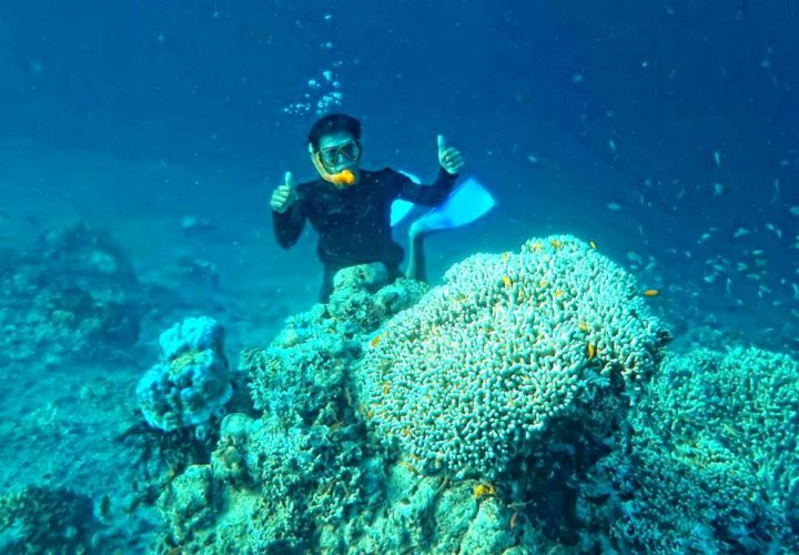 wisata pulau menjangan, open trip menjangan, tripbanyuwangi.com