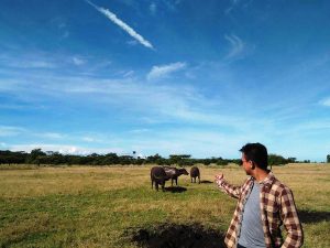 paket wisata banyuwangi 2h1m, wisata baluran banyuwangi